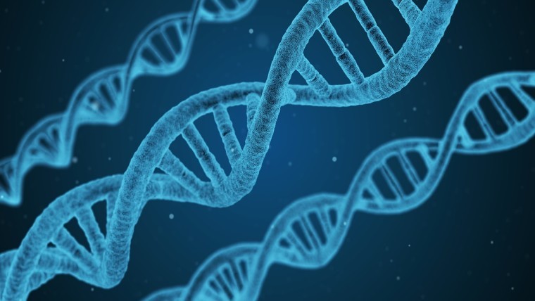 2860 سال ویدئو بر روی یک گرم DNA