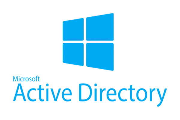 Active Directory یک سرویس مایکروسافتی می باشد که به روی Windows Server اجرا می شود و این سرویس به مدیران و یا ادمین های شبکه، امکان مدیریت تمامی منابع شبکه و مجوز های لازم برای دسترسی به همین منابع در Network و کنترل دسترسی های کاربران را نیز بر عهده خواهد داشت. مدیران شبکه با وجود Active Directory می توانند با یک Login ساده به نتورک، دیتا دایرکتوری را مدیریت و سازماندهی کنند. از مهمترین مزیت های AD این است که در شبکه های بزرگ نیز امکان مدیریت همه چیز توسط این سرویس روی ویندوز سرور از هر مکانی در دنیا امکان پذیر است.