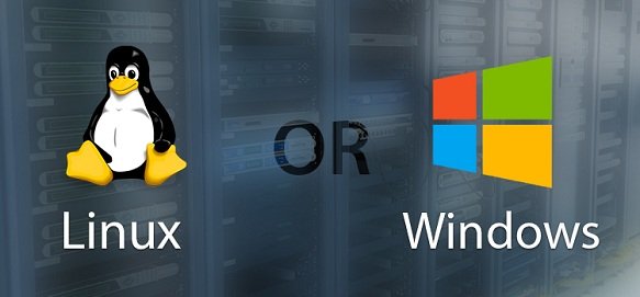 کسانی که می خواهند برای راه اندازی وب سایت خود هاست خریداری نمایند باید بدانند که تفاوت های سرویس هاستینگ Hosting لینوکس Linux و ویندوز Windows در چیست
